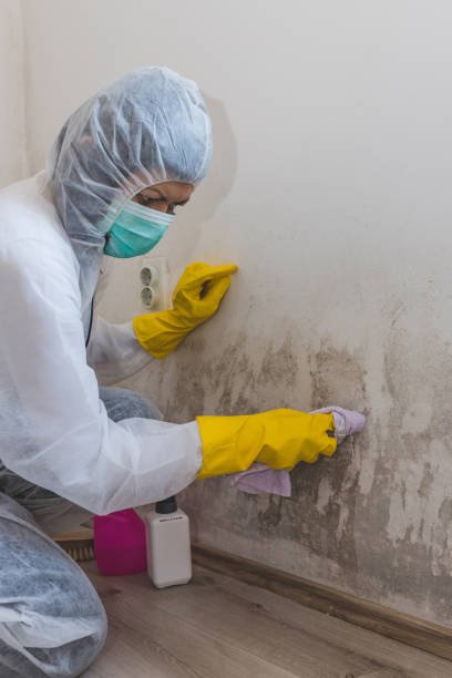 Forensic Mold Investigation in Dodge City, KS
